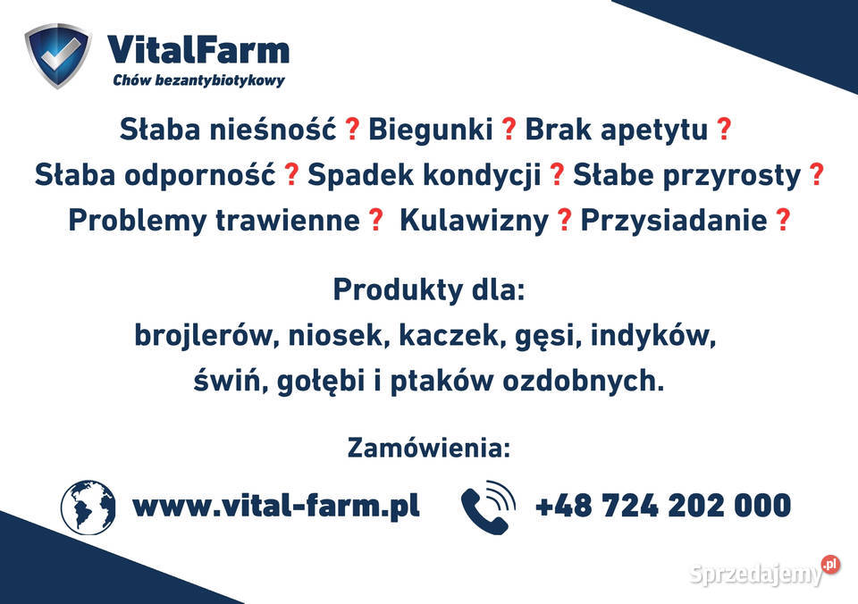 Witaminy minerały zioła w płynie do podawania w