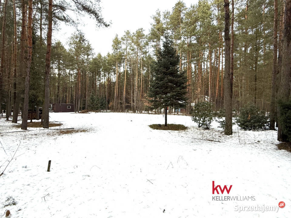 Grunt Masłońskie 3866m2