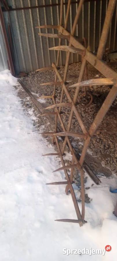 Brony trojki Strzyżów