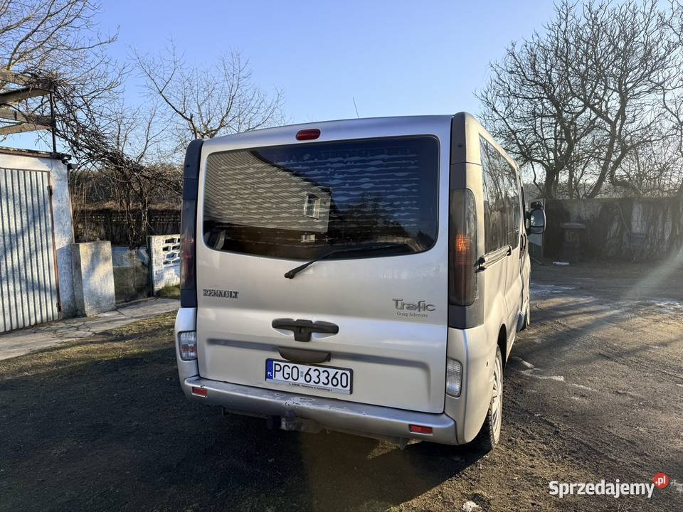Renault Trafic Rok produkcji 2005 Stodolsko