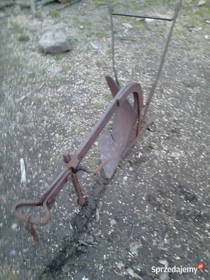 sprzedam brony konne Pług sprzedam