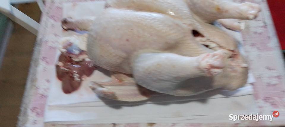 Mam na sprzedaż tuszki kury rosołowej Dolsk sprzedam