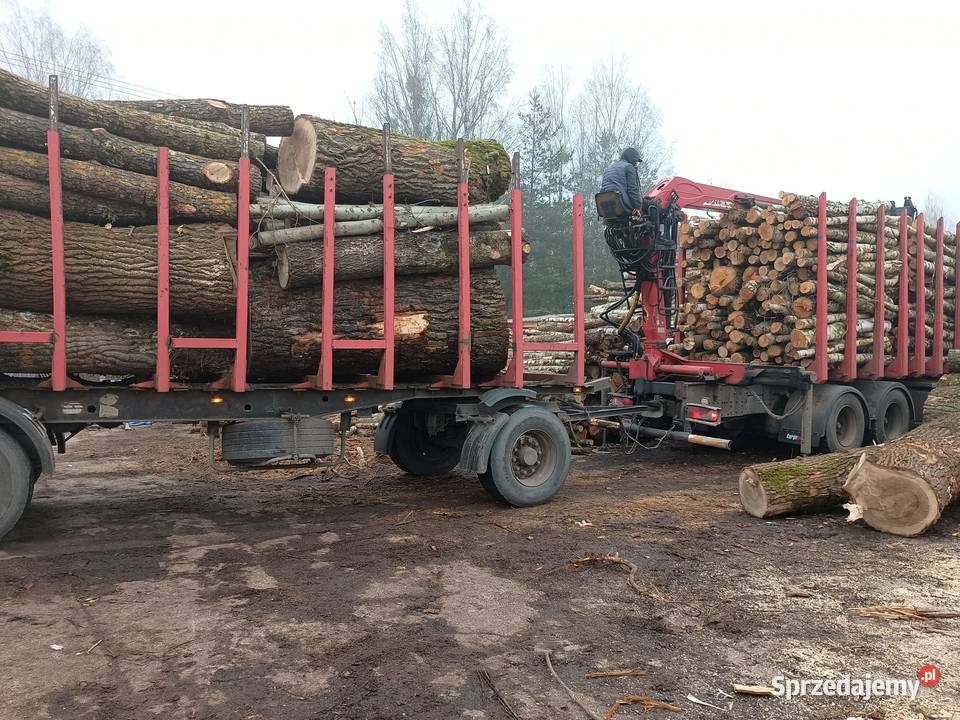Różne rodzaje drewna opałowegokominkowego Mikołajki