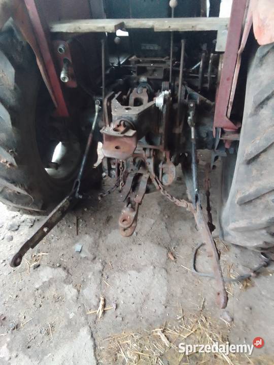 Sprzedam MF Ursus 255
