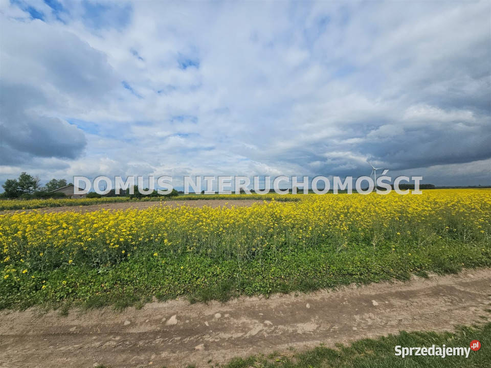 Grunt Stefanów 67765m2