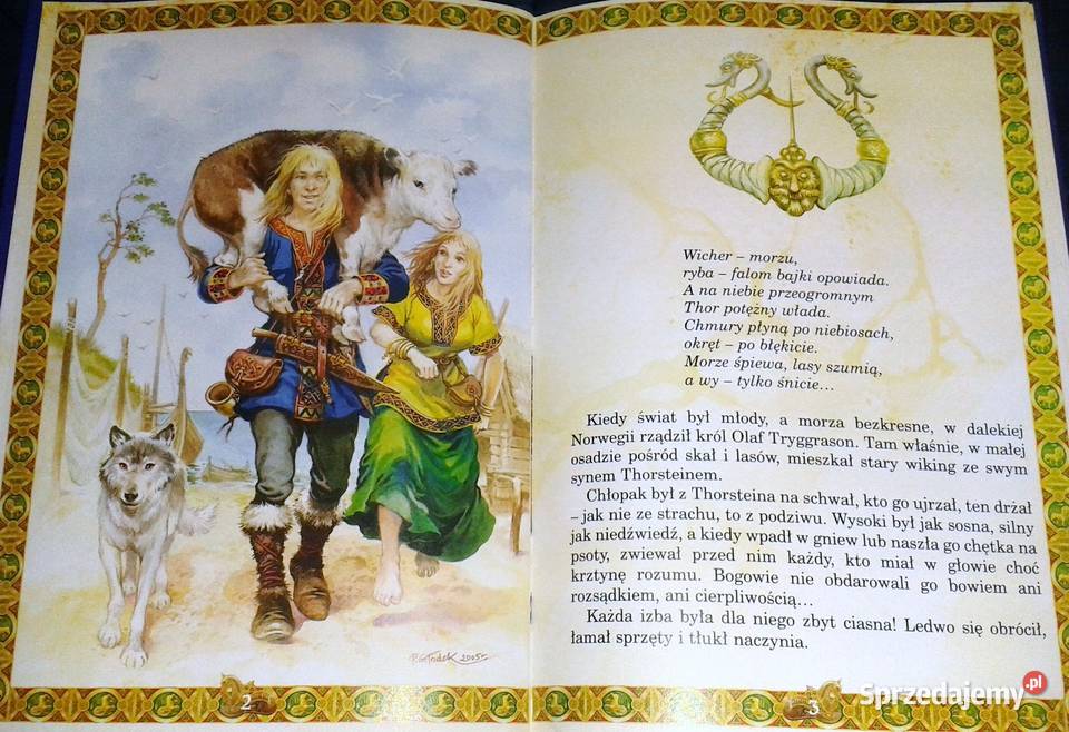 Przygody Thorsteina Wikinga Natalia Usenko Chełm sprzedam