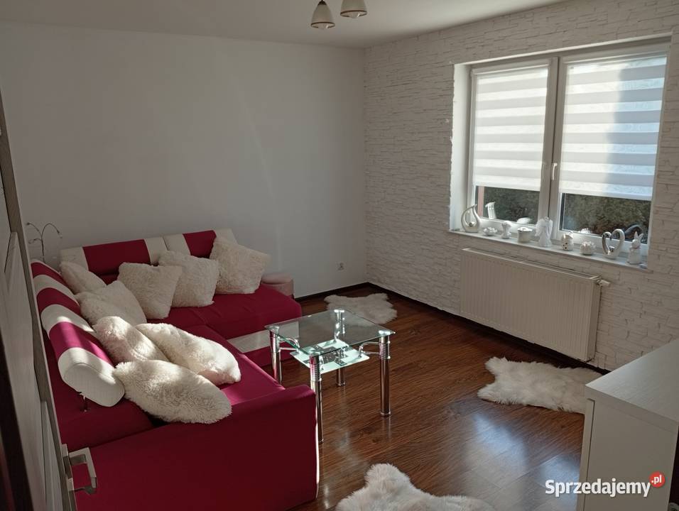 Dom z całym umeblowaniem