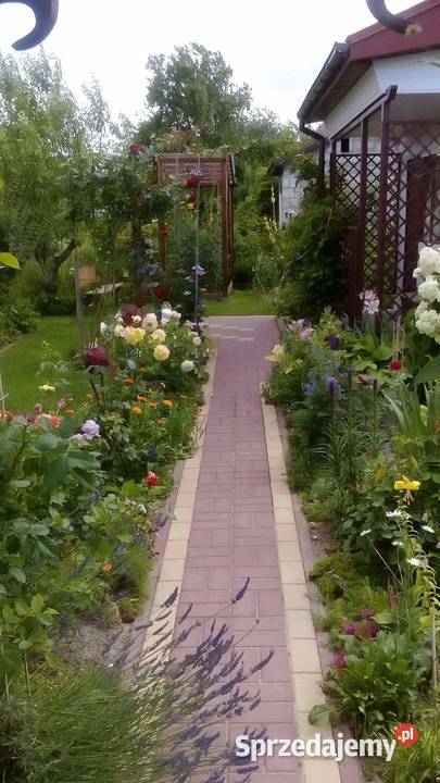 Sprzedam działkę ROD prąd lubelskie