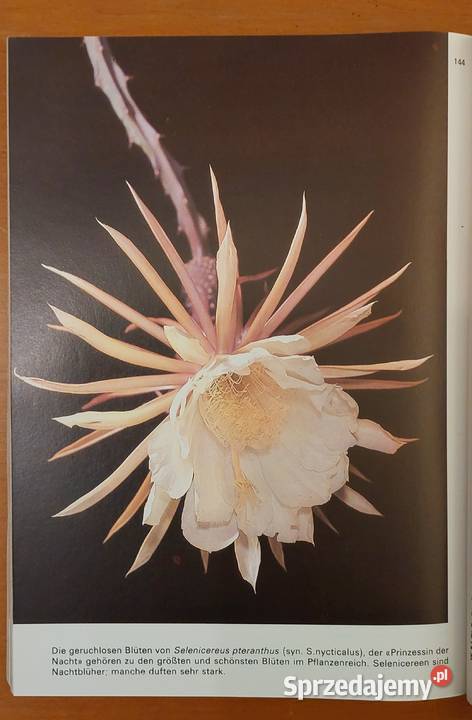 Ratschlge fr den Kakteenfreund Siegfried Brehme dolnośląskie Wrocław