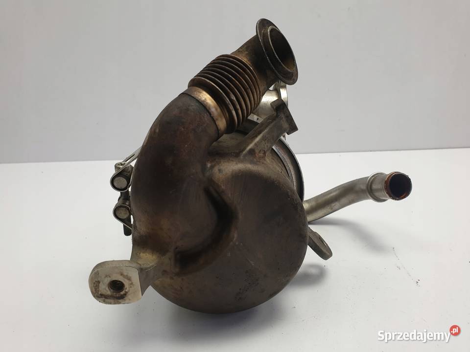 VW Caddy IV 20 TDI CHŁODNICA SPALIN EGR Chełm