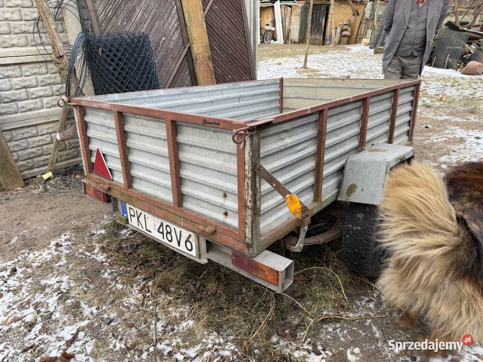Syndyk sprzeda Przyczepa lekka SAM towarowe Koło sprzedam