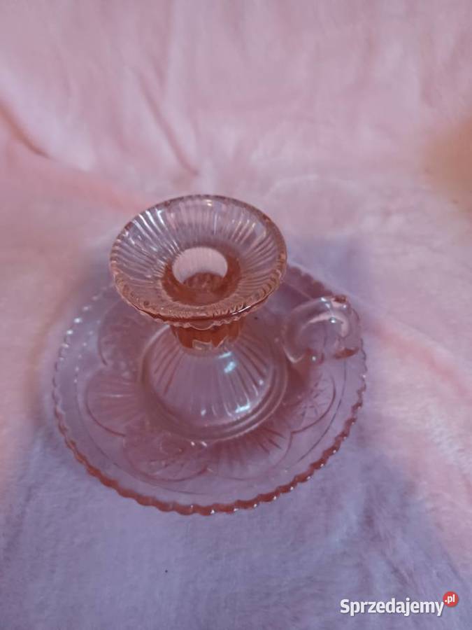 Różowy jaganek Hortensja Łódź