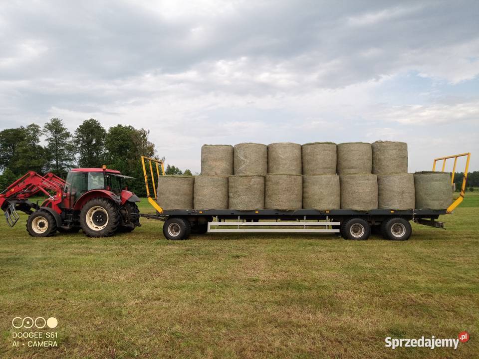 SPRZEDAM BELE SIANOKISZONKI I SIANA mazowieckie Zabiele Wielkie