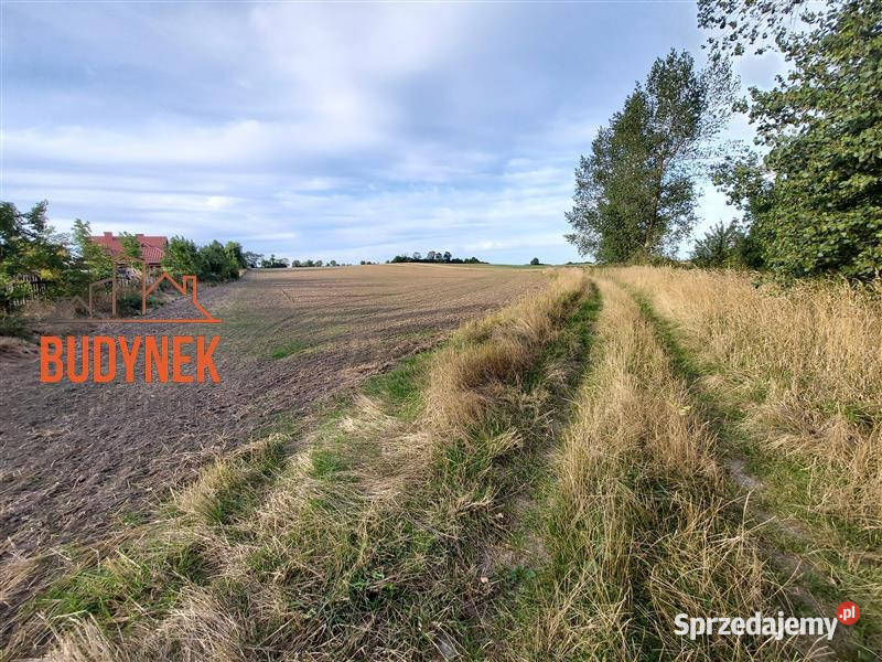 Działka Cisowo Grunty i działki sprzedam