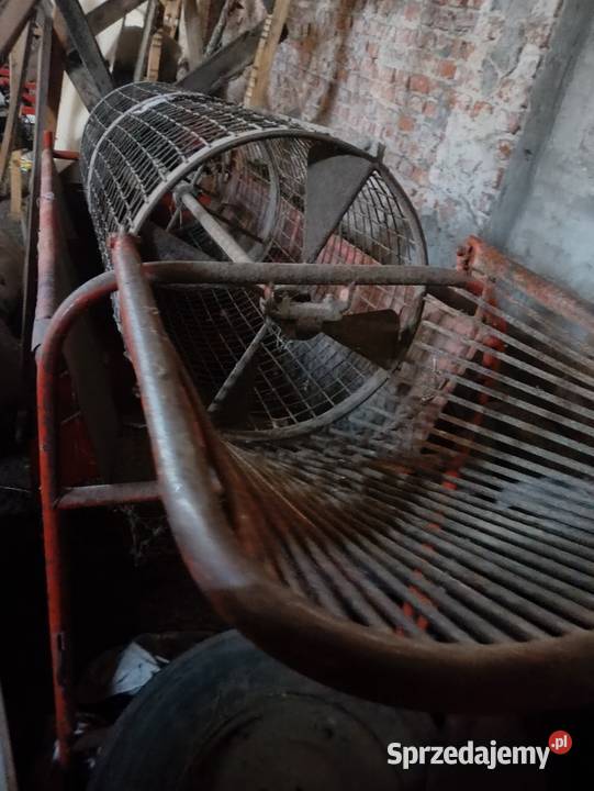 Sortownik do ziemniaków Borszyn