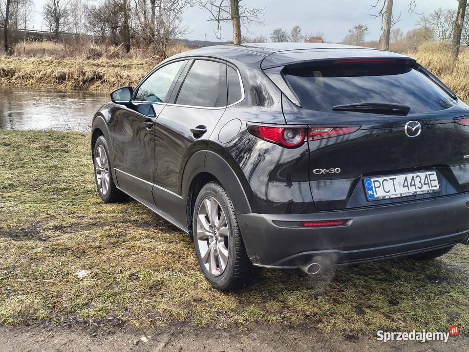 2020 MAZDA CX30 CX-30 Motoryzacja wielkopolskie Czarnków