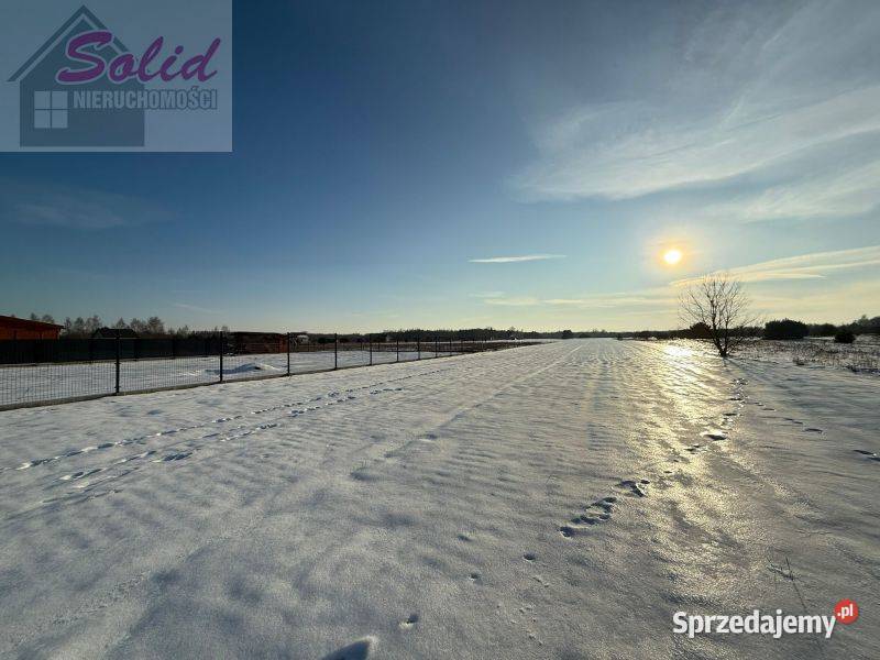 działki rekreacyjne jeziora Przytomne mazowieckie Zuzinów sprzedam