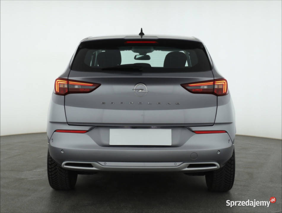Opel Grandland 12 Turbo ASR (kontrola trakcji) Lublin