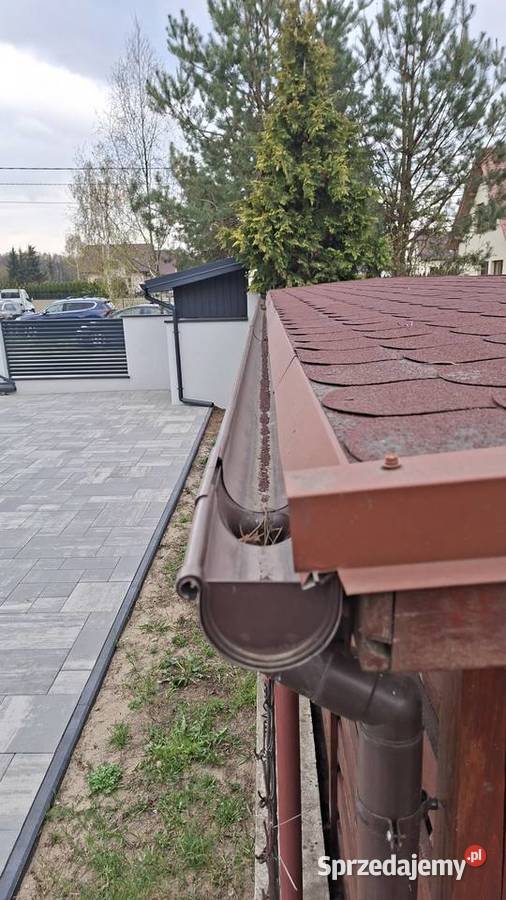 DREWUTNIA DOMEK NARZĘDZIWY Rzekuń