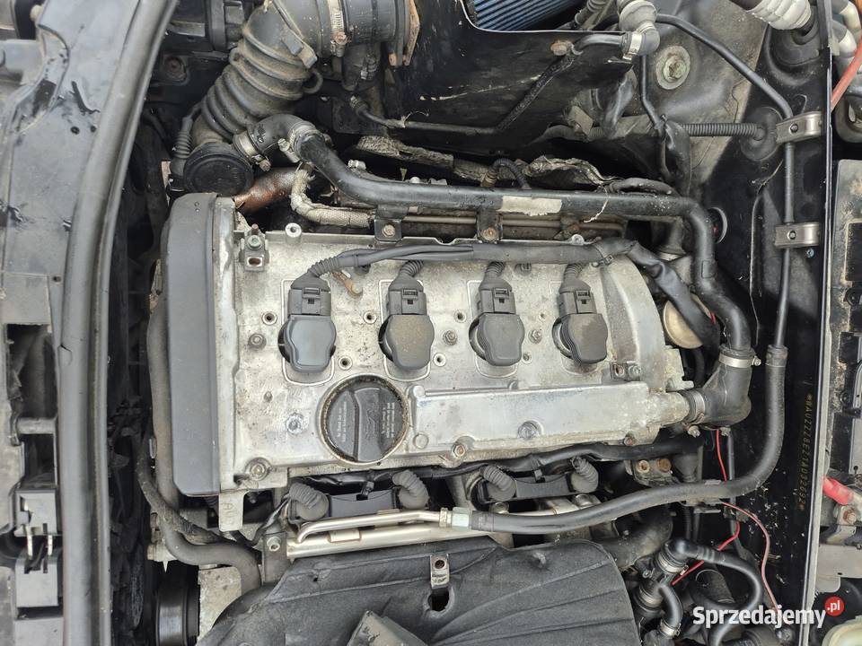 Audi A4 b6 18t quattro 150 AVJ wszystkie cześci Pasy przednie i tylne Kętrzyn