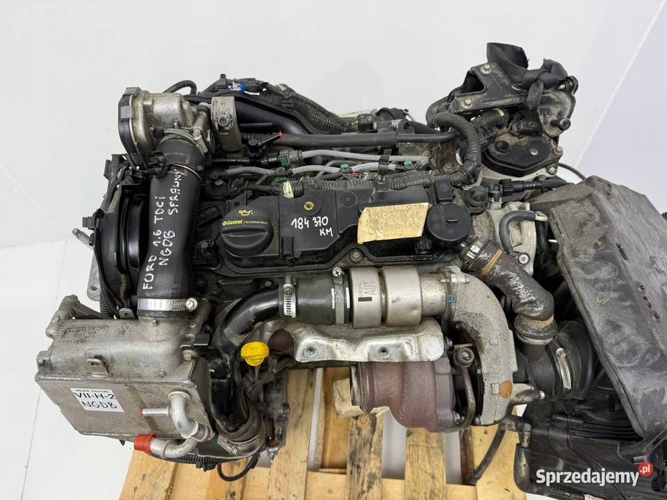 SILNIK NGDA NGDB Ford Focus III MK3 16 TDCI 105 Chełm