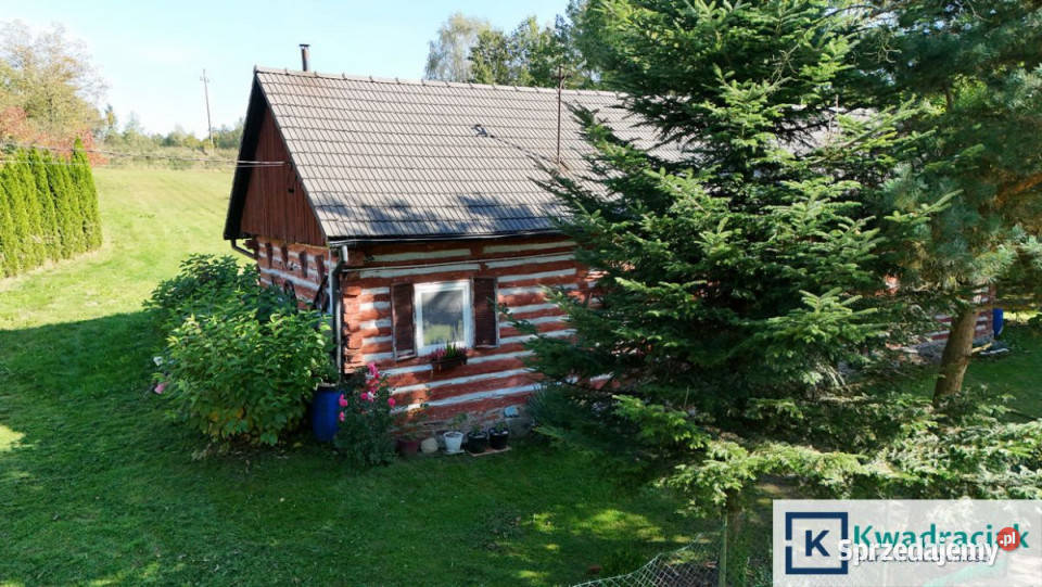 Dom wolnostojący 110m2 Czermna 16091m2 małopolskie sprzedam