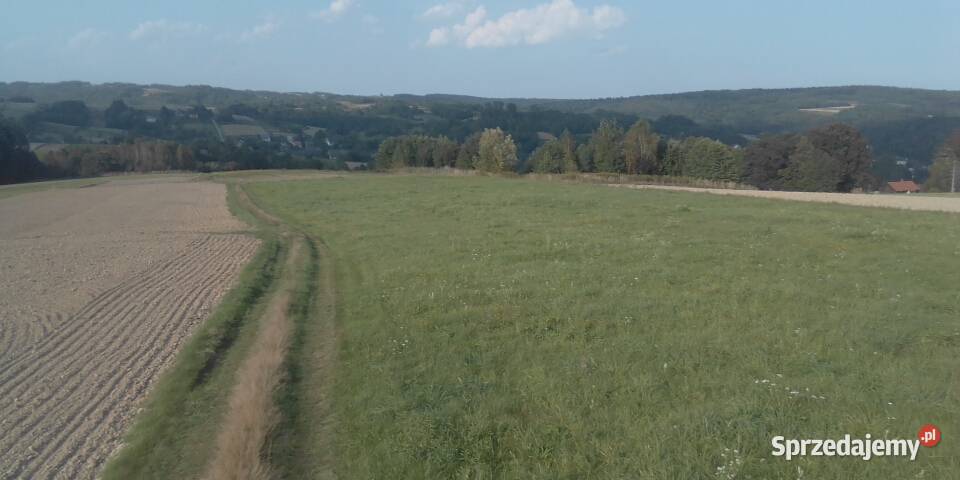 działka rolna sprzedam