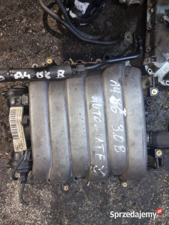 kolektor ssący 30 V6 benzyna ASN Audi a4 a6 a8 Kolektory ssące Bodzentyn