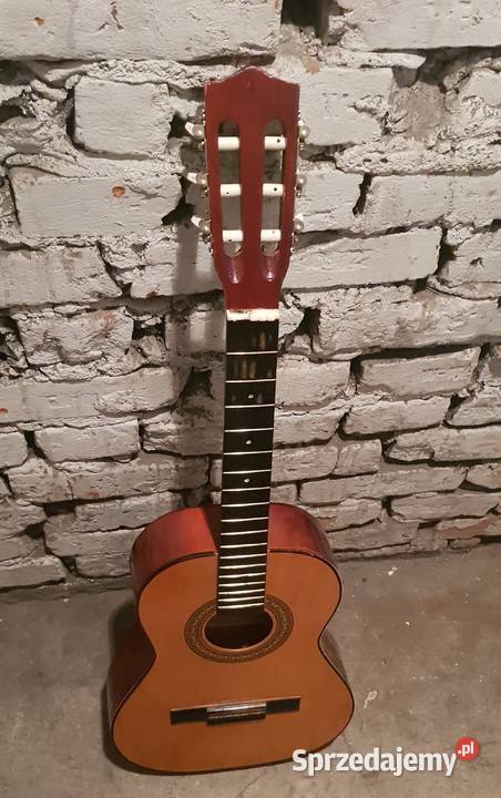 Gitara Maxtone stan dolnośląskie Marcinkowice