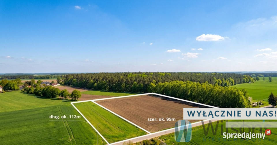 Grunt Śniadowo 11021m2 asfalt Grunty i działki sprzedam