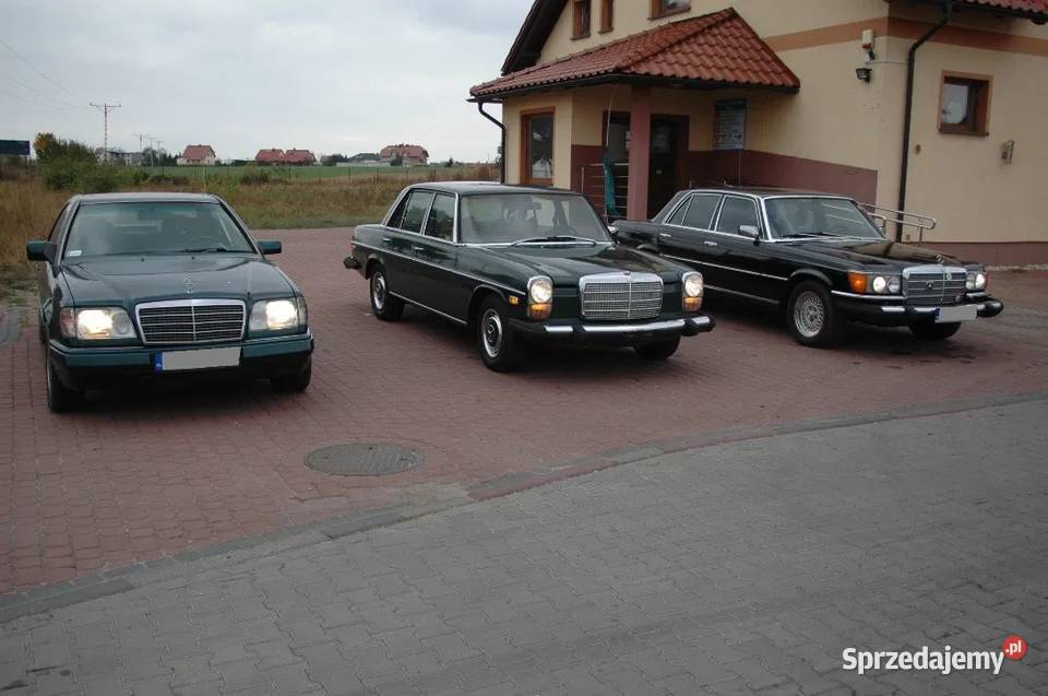 OC AC Assistance FIRMA Travel 24 TU do wyboru Usługi Namysłów