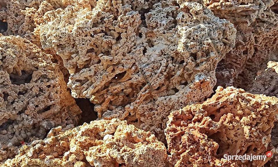 CZERWONY WAPIEŃ Kamień Skała do Akwarium Malawi mazowieckie Garwolin