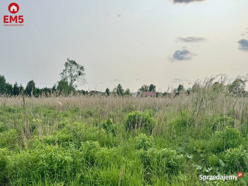 Działka 2855m2 Dąbrówno rolna Sprzedaż podlaskie