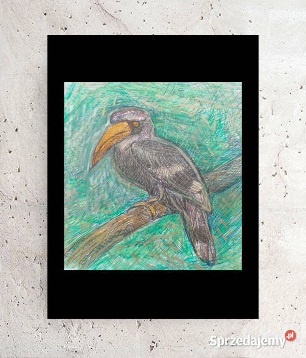 zoo rysunek A4 Olsztyn