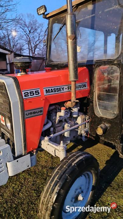 Traktor rolniczy z kabiną Massey Ferguson MF 255 Goczałków