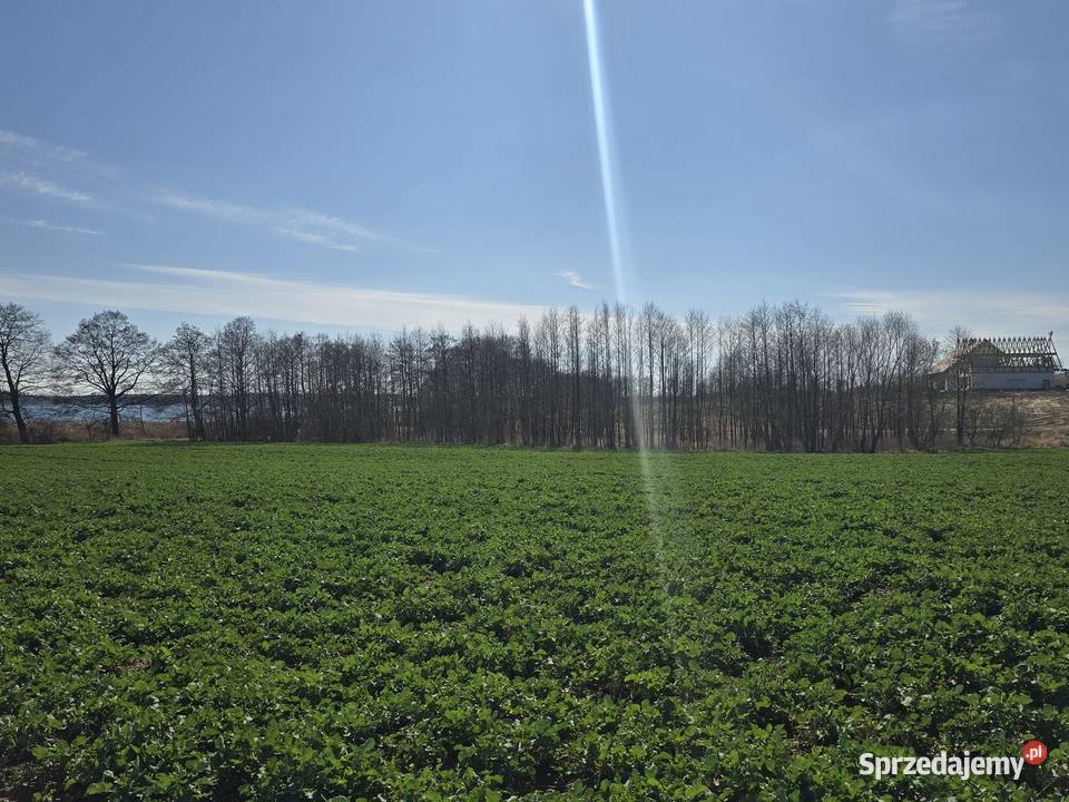 Z linią brzegową na szlaku 268zł/m2 Radzieje
