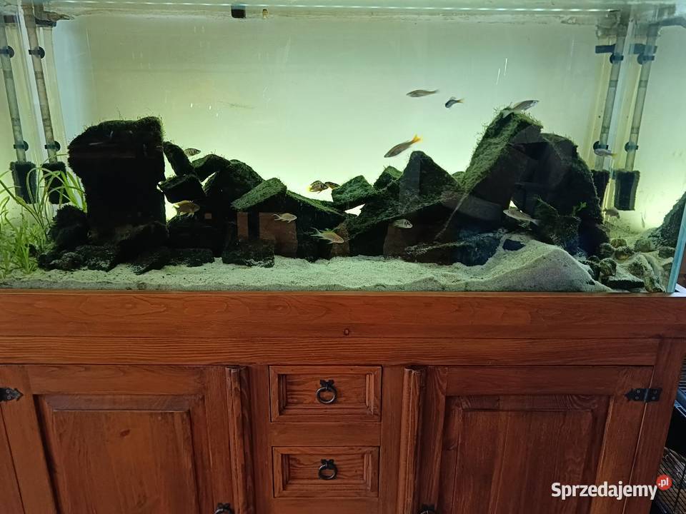 Szafka komoda pod akwarium 240 l drewniana