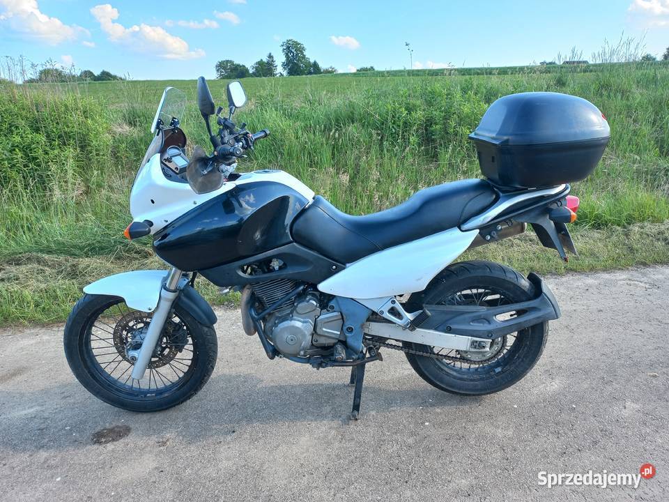 Suzuki XF 650 Freewind motocyklistki Łysokanie