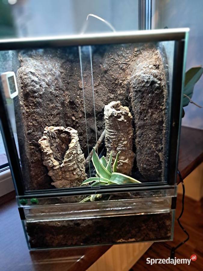 Sprzedam używane terrarium stan db jedno małe Sandomierz