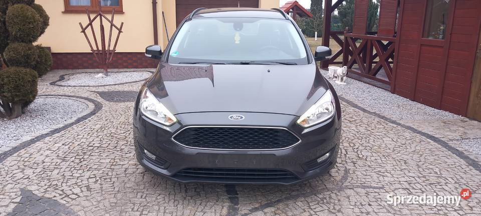 Ford Focus idealny stan Rok produkcji 2016 Focus dolnośląskie Lubin