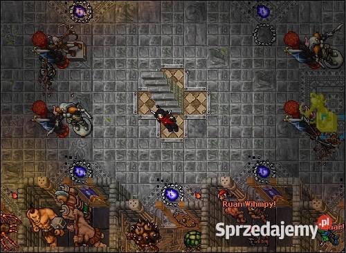 OTS Tibia 86 EVO 100 Custom Mapa Twój własny OTS Ostrów Mazowiecka