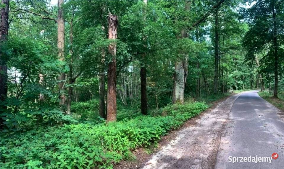 Działka budowlana drodze asfaltowej Świbinki