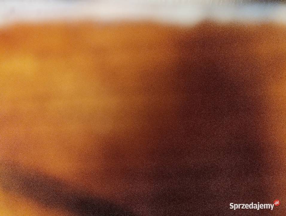 Antonio Stradivari Cremona skrzypce 44 Limanowa