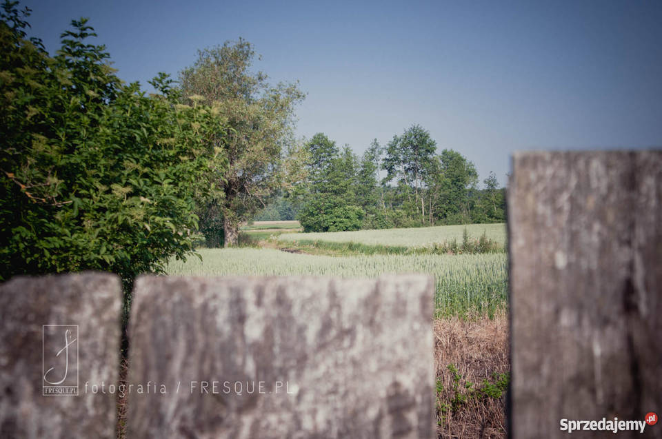 Dom 80m2 do remontu z działką 09 ha Domy Domy Stare Morzyce
