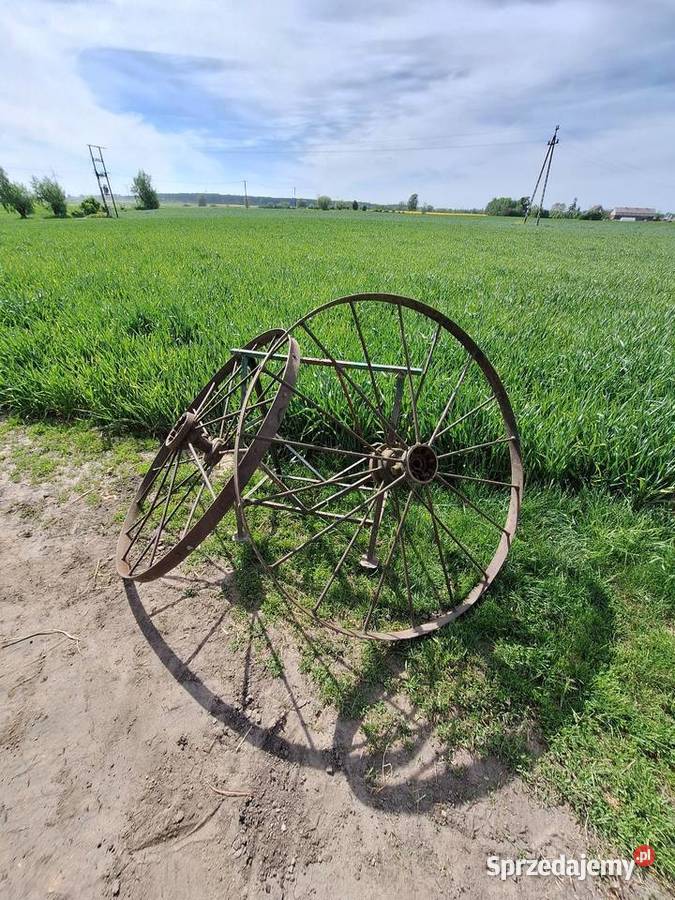 Sprzedam 6 kół siewnikzgrabiarka konna Brzyskorzystew