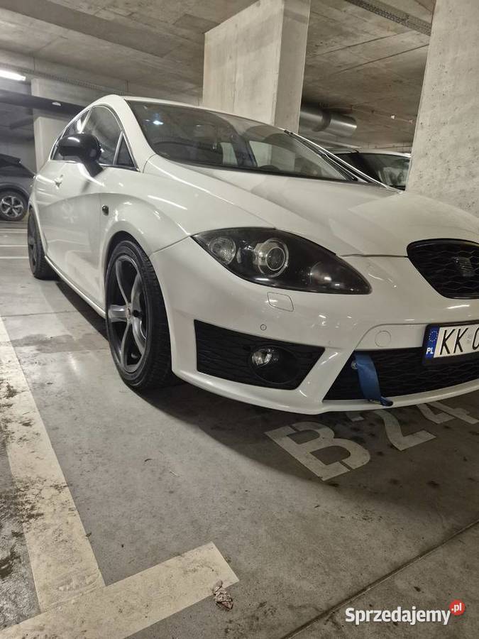 Seta Leon 2 18 fr 2012 małopolskie Kraków