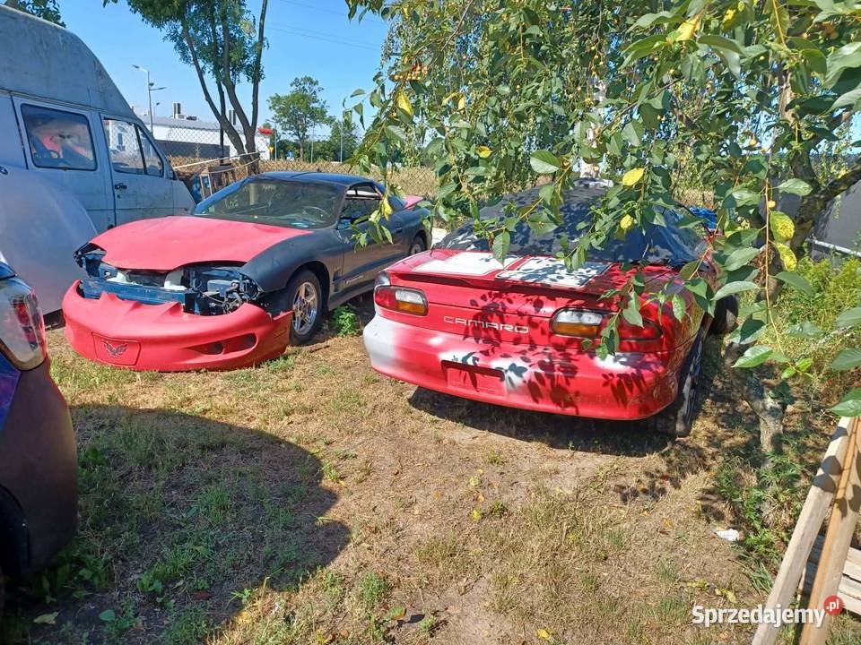 Chevrolet Camaro części osobowe Strzałkowo sprzedam
