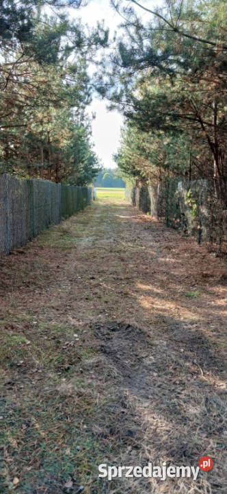 Urokliwa działka z WZ na 2 budynki 32m2 Grunty i działki Karolinowo