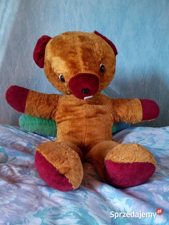 Miś leżący długość ok 60 Mielno sprzedam