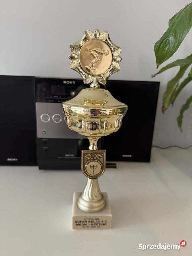 Puchar osiągnięcia sportowe pływanie statuetka Kielce